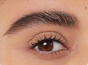 Get The Look: Laminated Brows