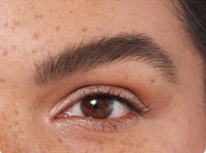 Get The Look: No-Fade Brows