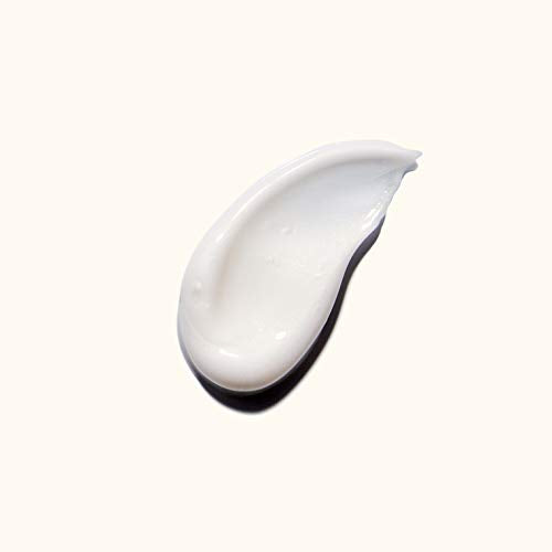 Amika | Moisturizing Leave In Cream for Frizzy Hair