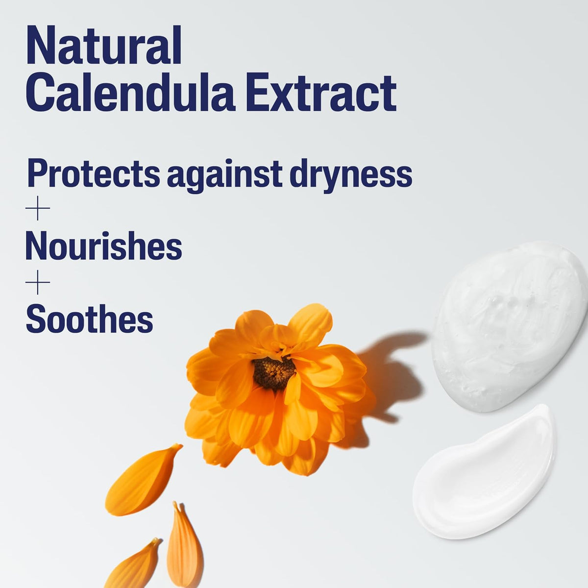 Calendula flower and cream with text on a light blue background