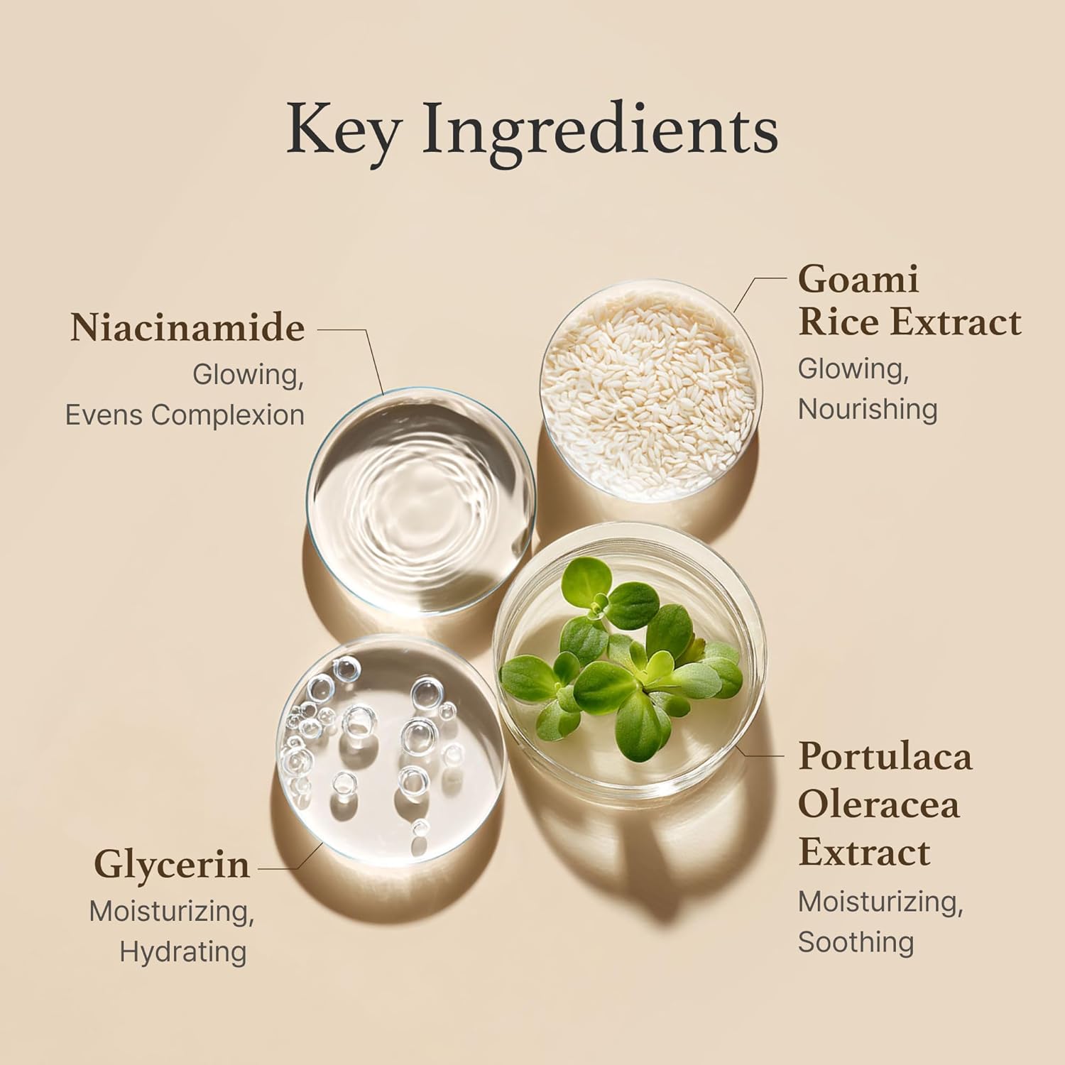 I’m From Rice Toner – Hydrating Milky Toner for Glowing Skin (5.07 fl oz)