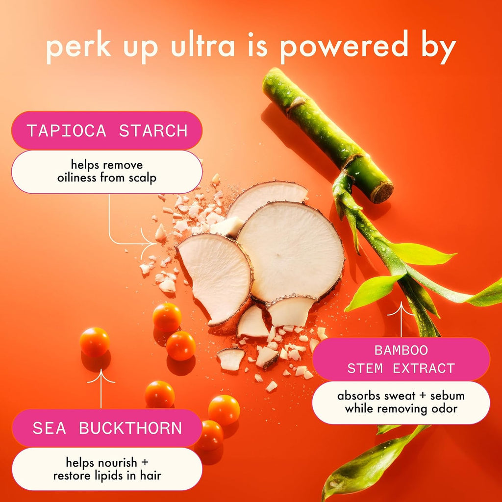 Amika | Extra Strength Dry Shampoo for Extra Oily Scalps