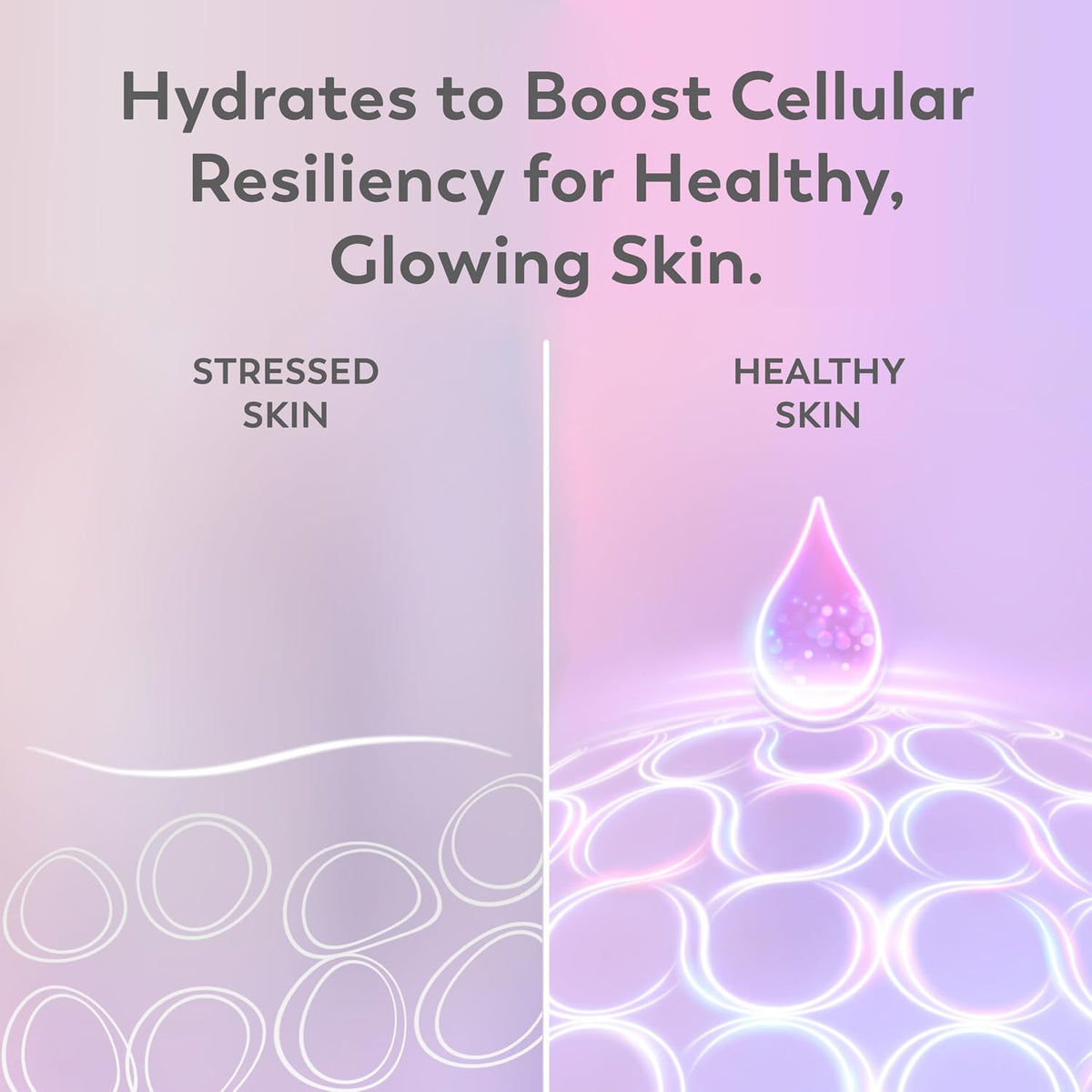 Olay | Super Serum 5-in-1 Night Face Serum Niacinamide Peptide Salicylic Acid Lactic Acid Glycerin Fragrance Free