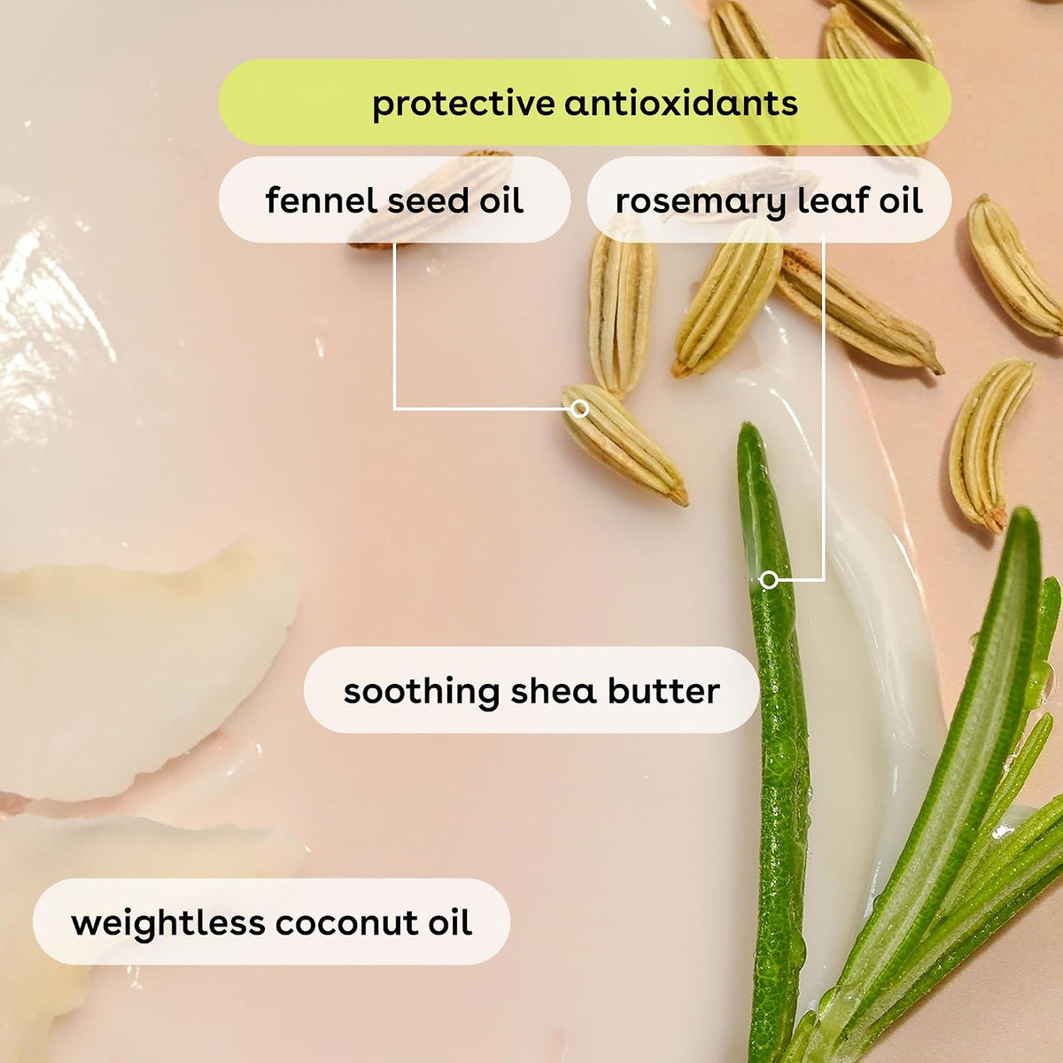 A close-up flat lay of skincare ingredients on a pale pink surface, including fennel seeds, rosemary leaves, a slice of shea butter, and oil droplets. Text labels identify the ingredients: fennel seed oil, rosemary leaf oil, soothing shea butter, and weightless coconut oil.