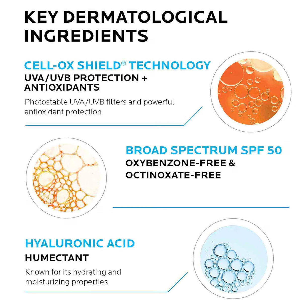 Key dermatological ingredients with icons and text on a white background