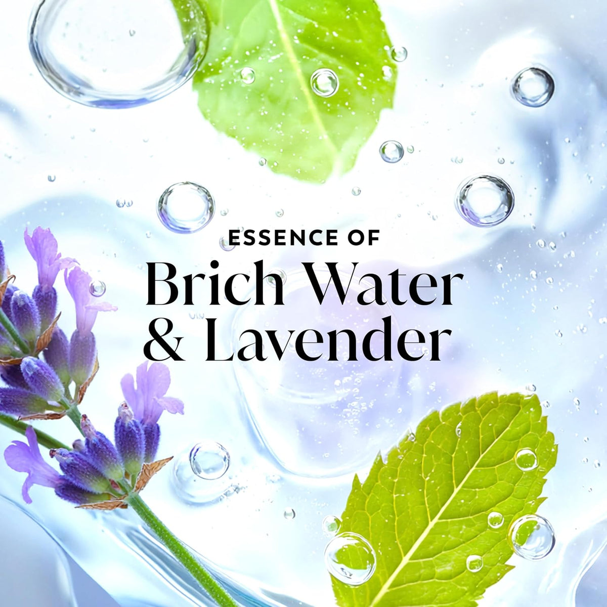 Olay | Body Wash Fresh Radiance Vitamin B3 Antioxidant Birch Water Lavender — 22 fl oz