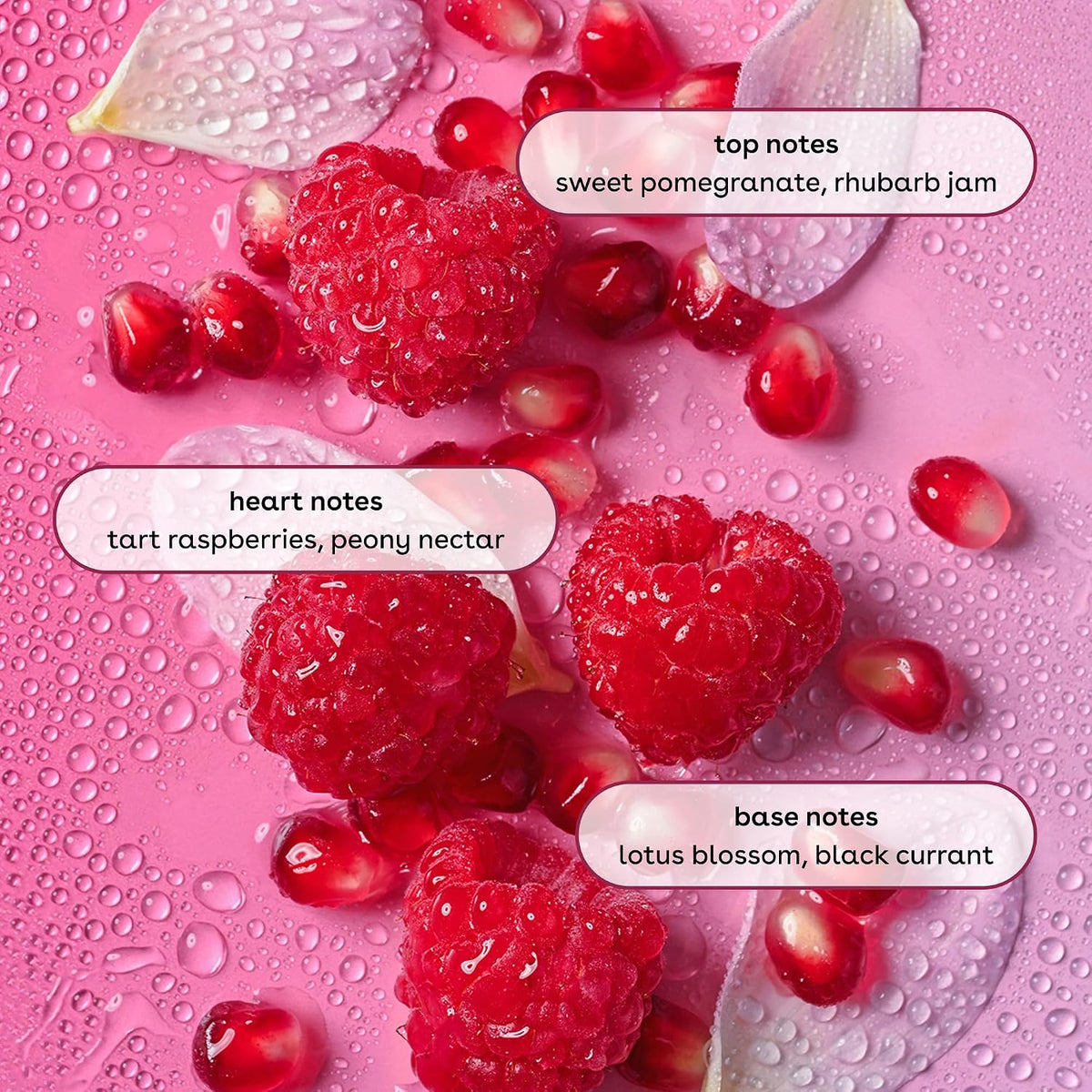 Fruits like raspberries and pomegranates on a pink background with notes on fragrance.