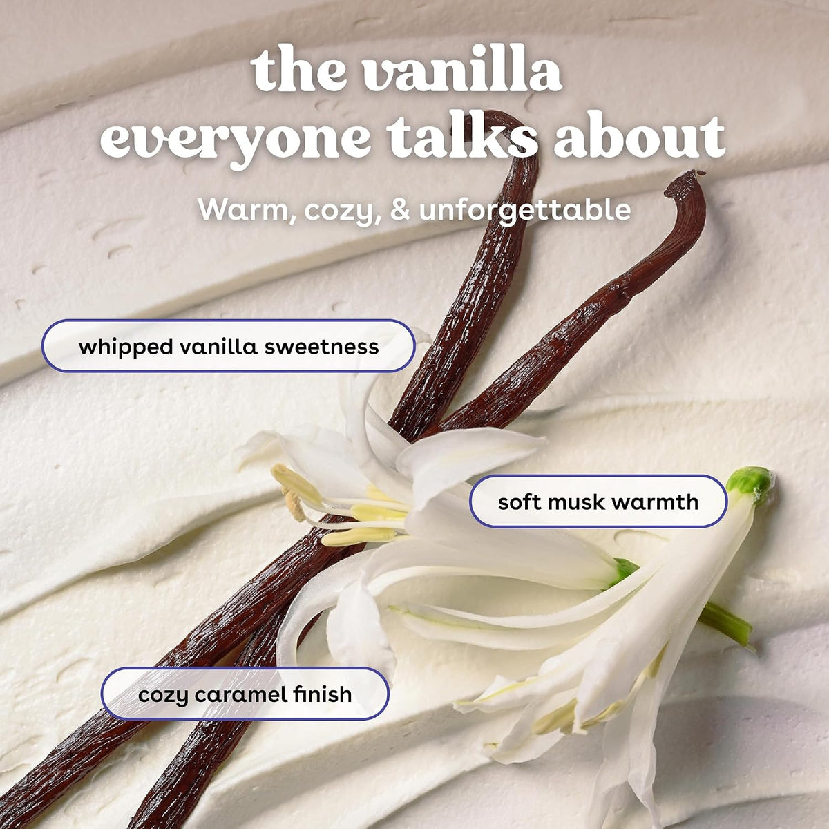 Vanilla beans and flower with text describing vanilla notes on a light background