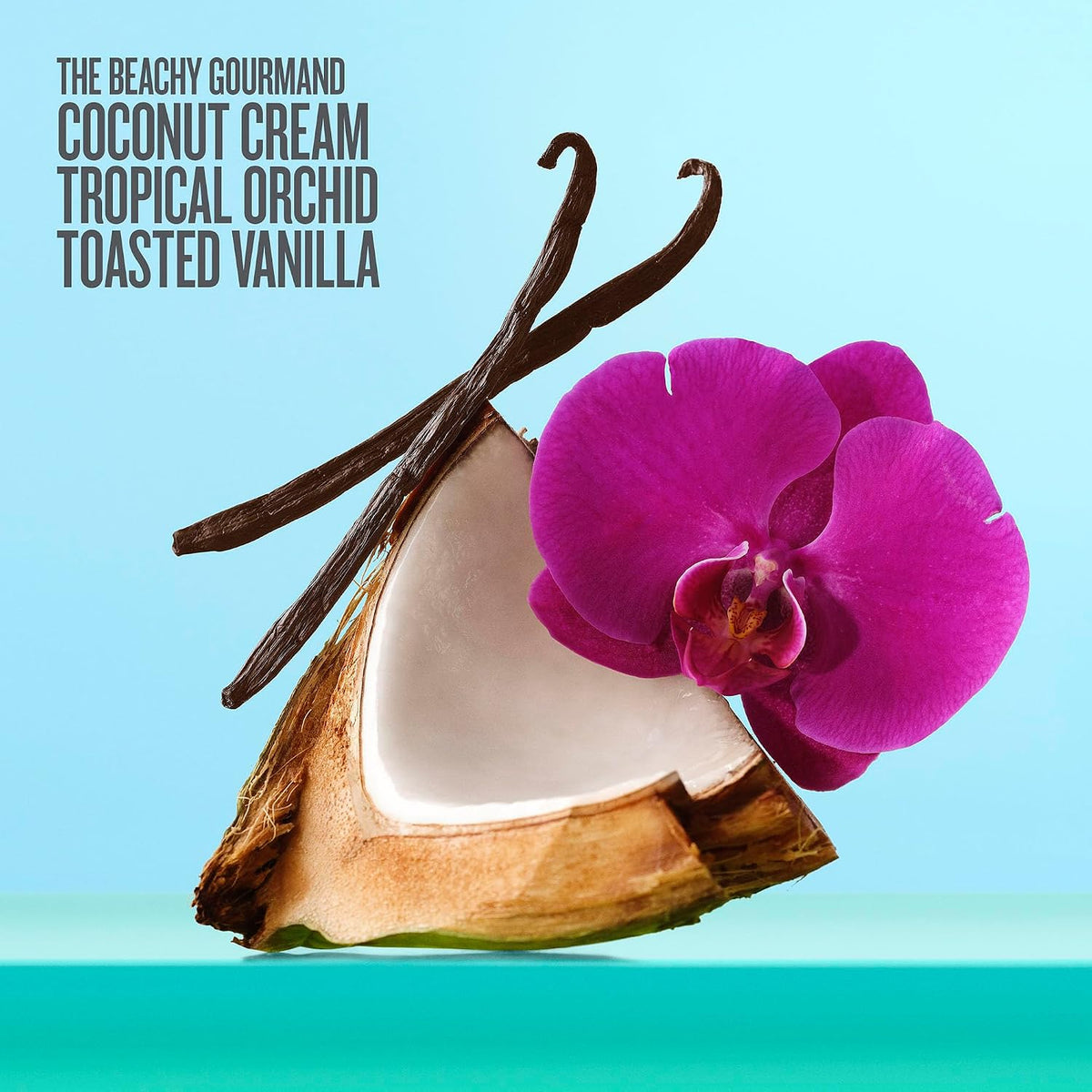 Coconut with a purple orchid and vanilla beans on a blue background