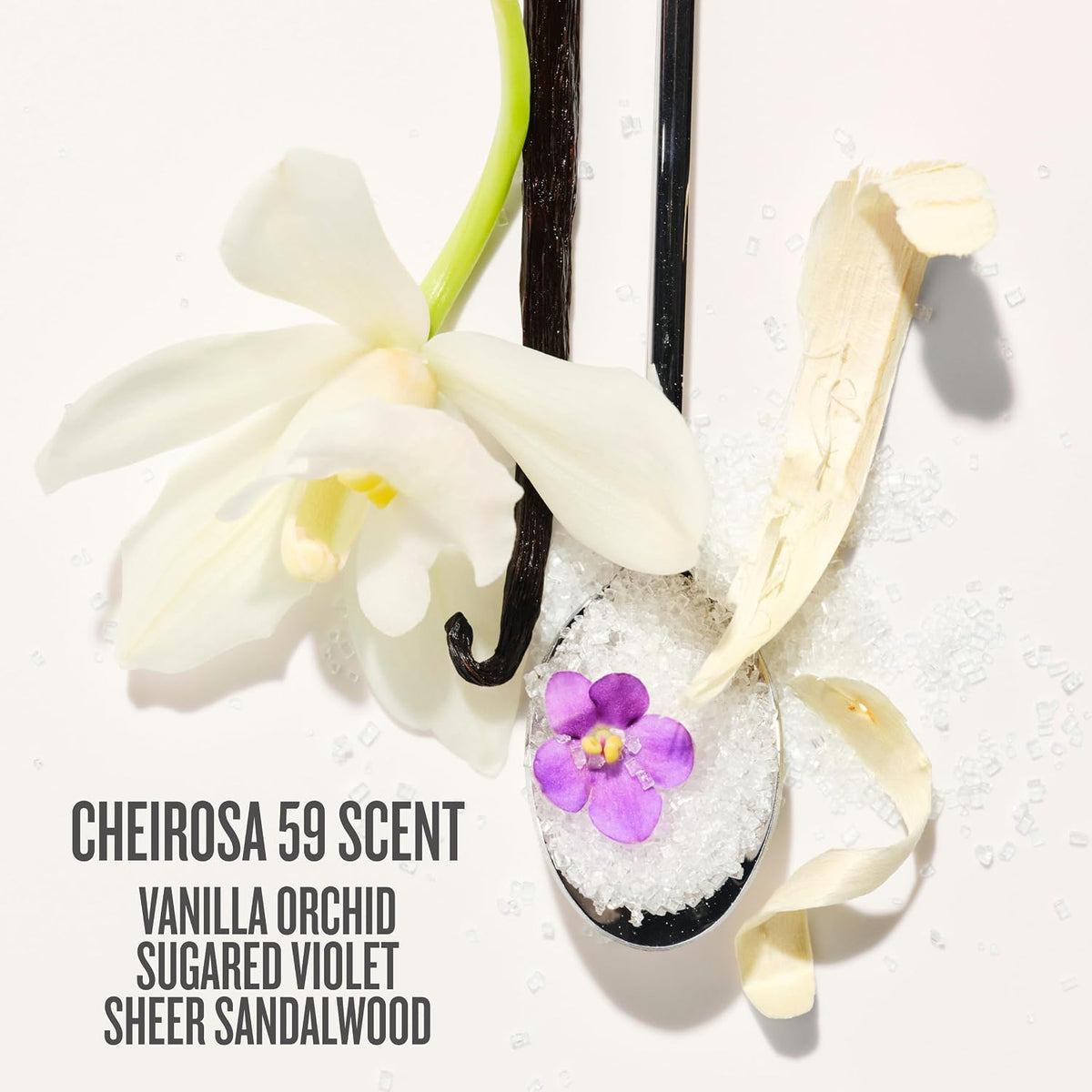 Sol de Janeiro | Moisture Replenishing Oil to Foam Body Wash Cheirosa 59