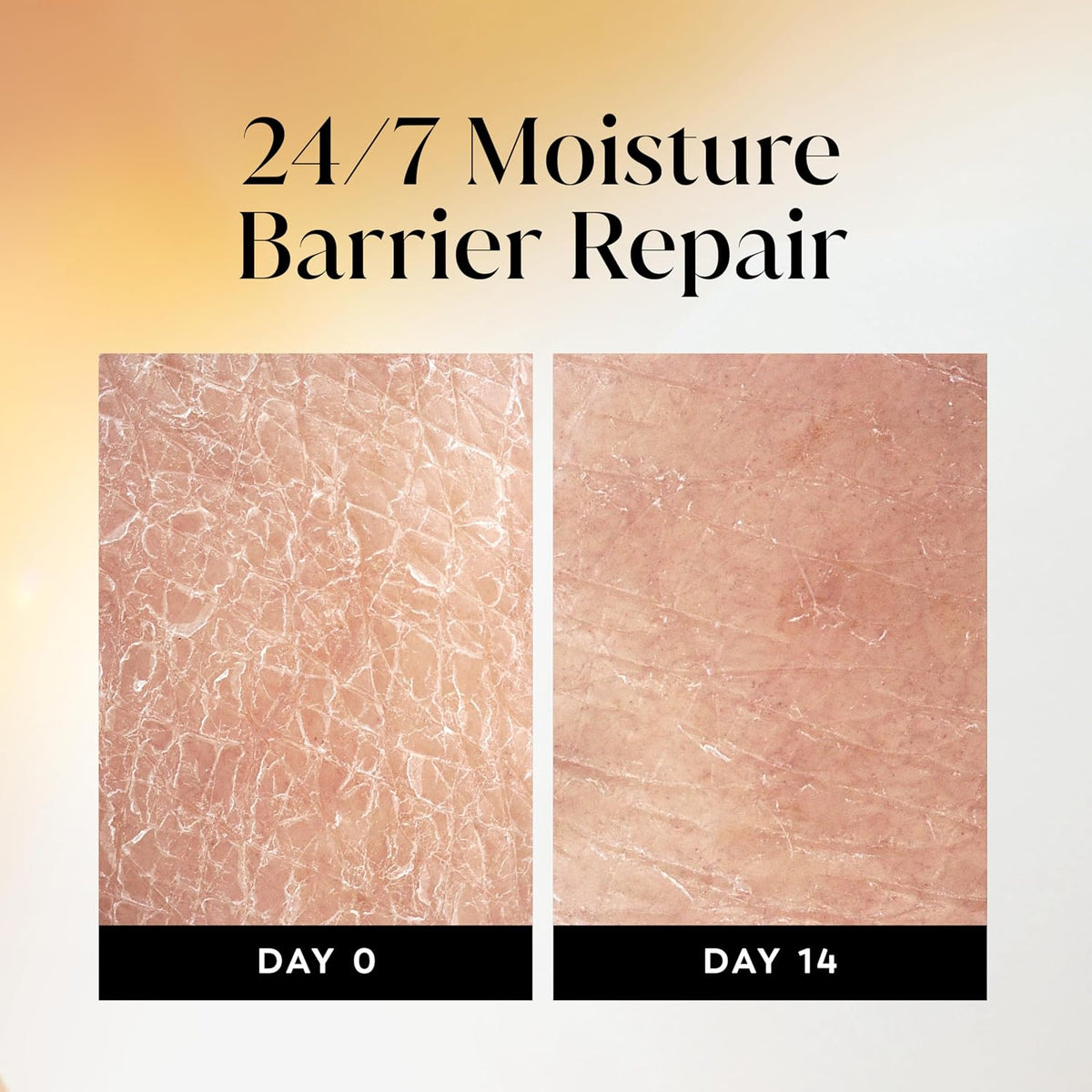 Before and after comparison of 24/7 Moisture Barrier Repair on skin, showing Day 0 and Day 14.