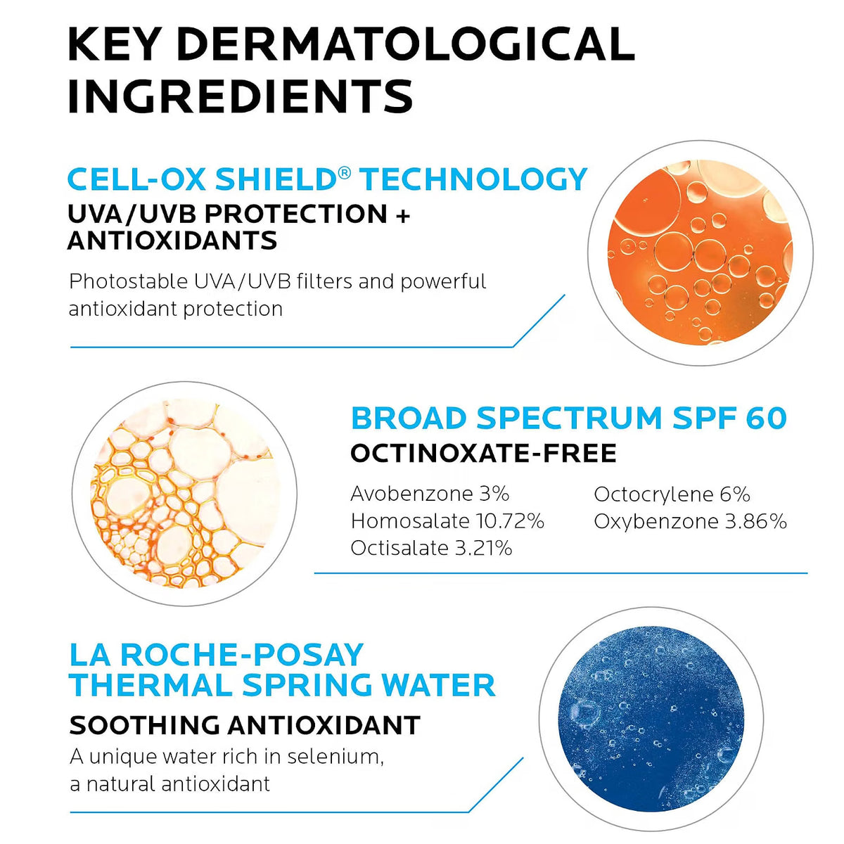 Key dermatological ingredients with icons and text on a white background
