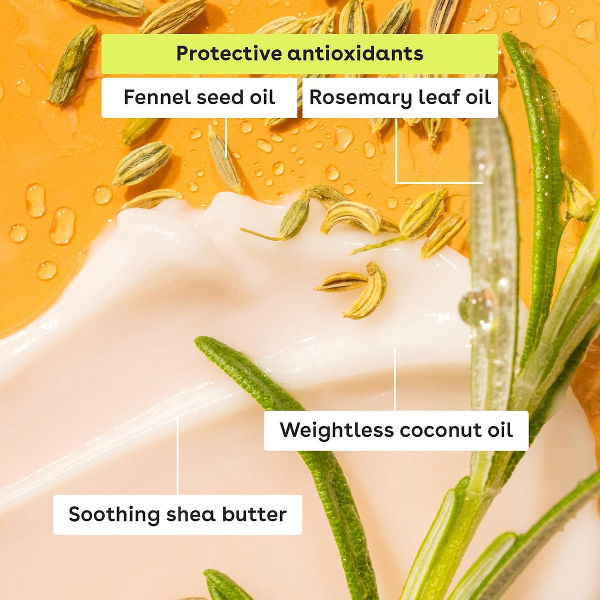 Cosmetic product with labeled ingredients including fennel seed oil, rosemary leaf oil, weightless coconut oil, and soothing shea butter on an orange background.