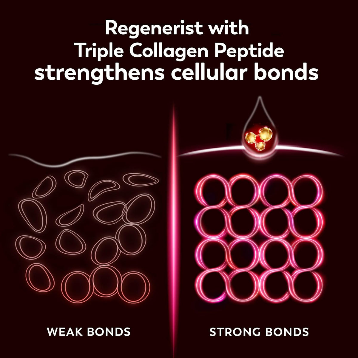 Diagram showing the effect of triple collagen peptide on strengthening cellular bonds with text 'Regenerist with Triple Collagen Peptide strengthens cellular bonds'.