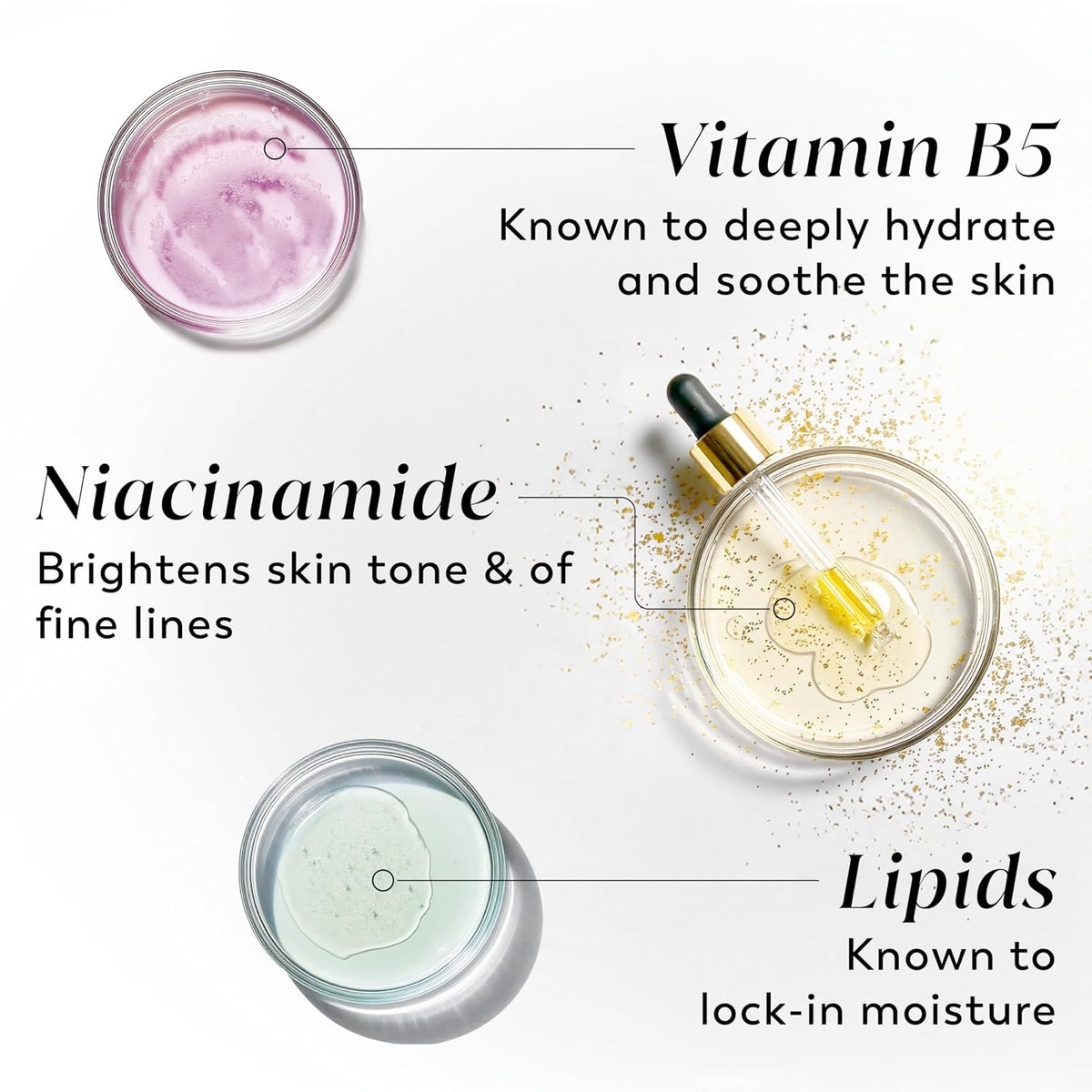 Cosmetic products with labels for Vitamin B5, Niacinamide, and Lipids on a white background