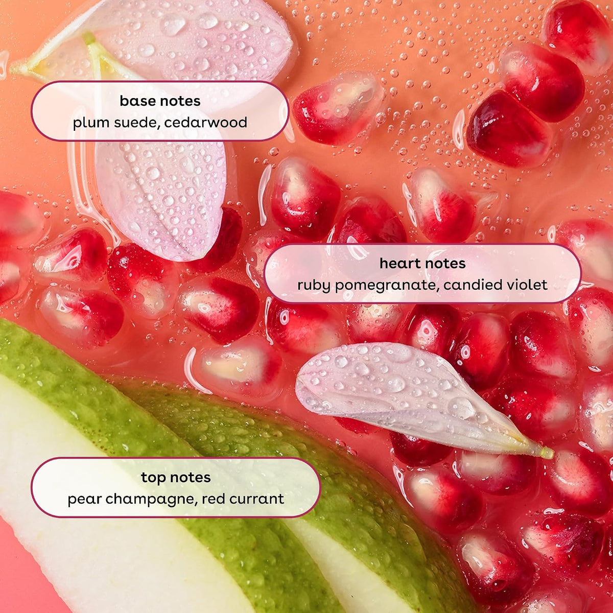 Pomegranate seeds with water droplets and text labels on a pink background