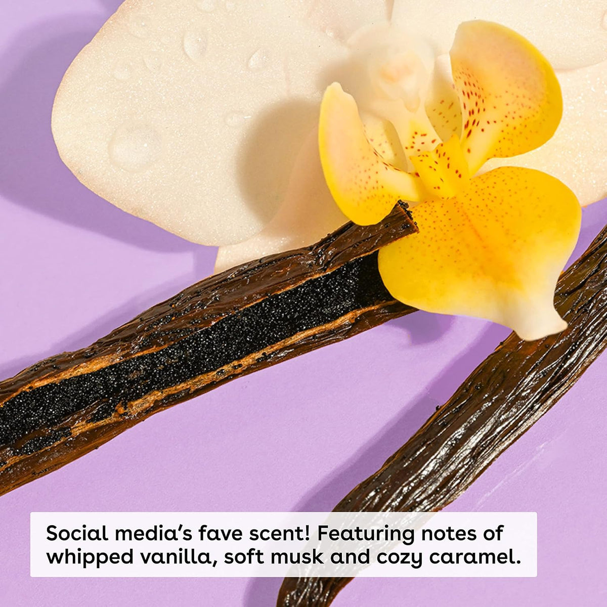 A close-up of a vanilla orchid flower with a yellow bloom and cream petals resting on two dark brown vanilla bean pods against a lavender background. A white text box at the bottom reads: 'Social media's fave scent! Featuring notes of whipped vanilla, soft musk and cozy caramel.