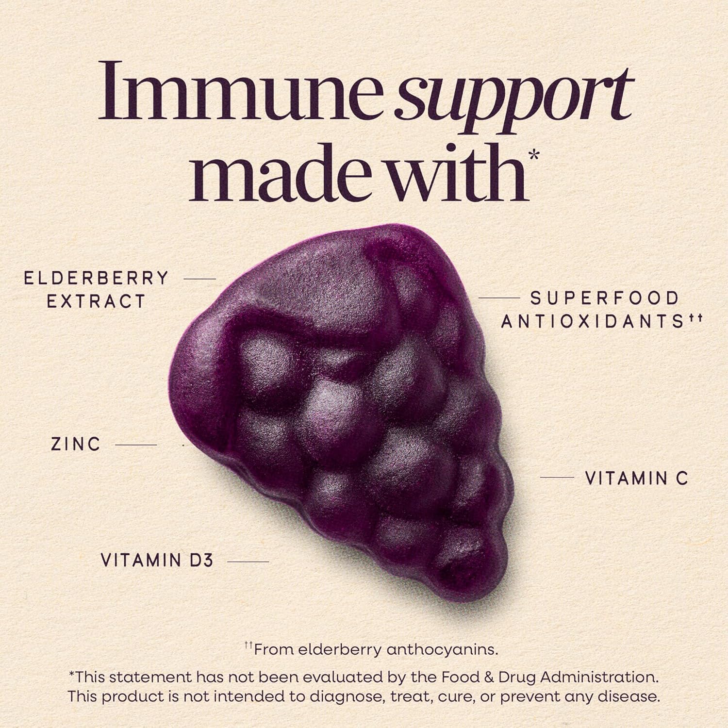 Nature’s Way Sambucus Elderberry Immune Support Gummies – 60 Gummies
