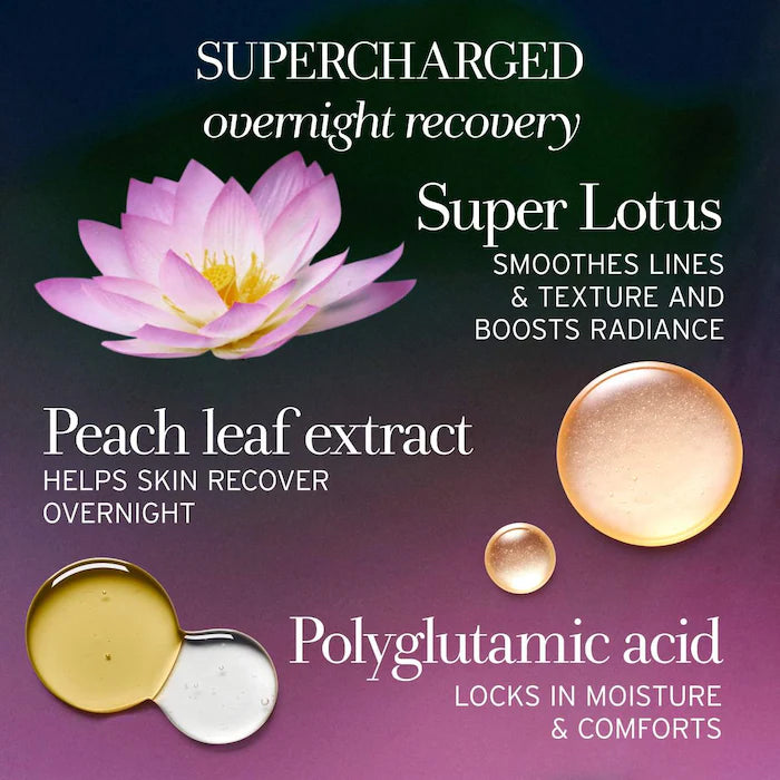 fresh - Lotus Youth Preserve Radiance Renewal Night Cream