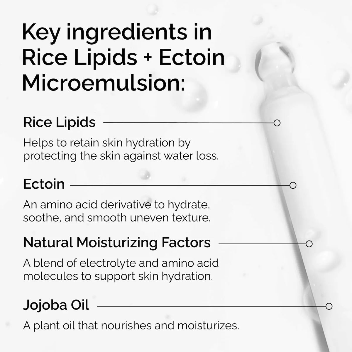 The Ordinary - Rice Lipids + Ectoin Microemulsion Moisturizer for Soothing Hydration & Reduced Redness