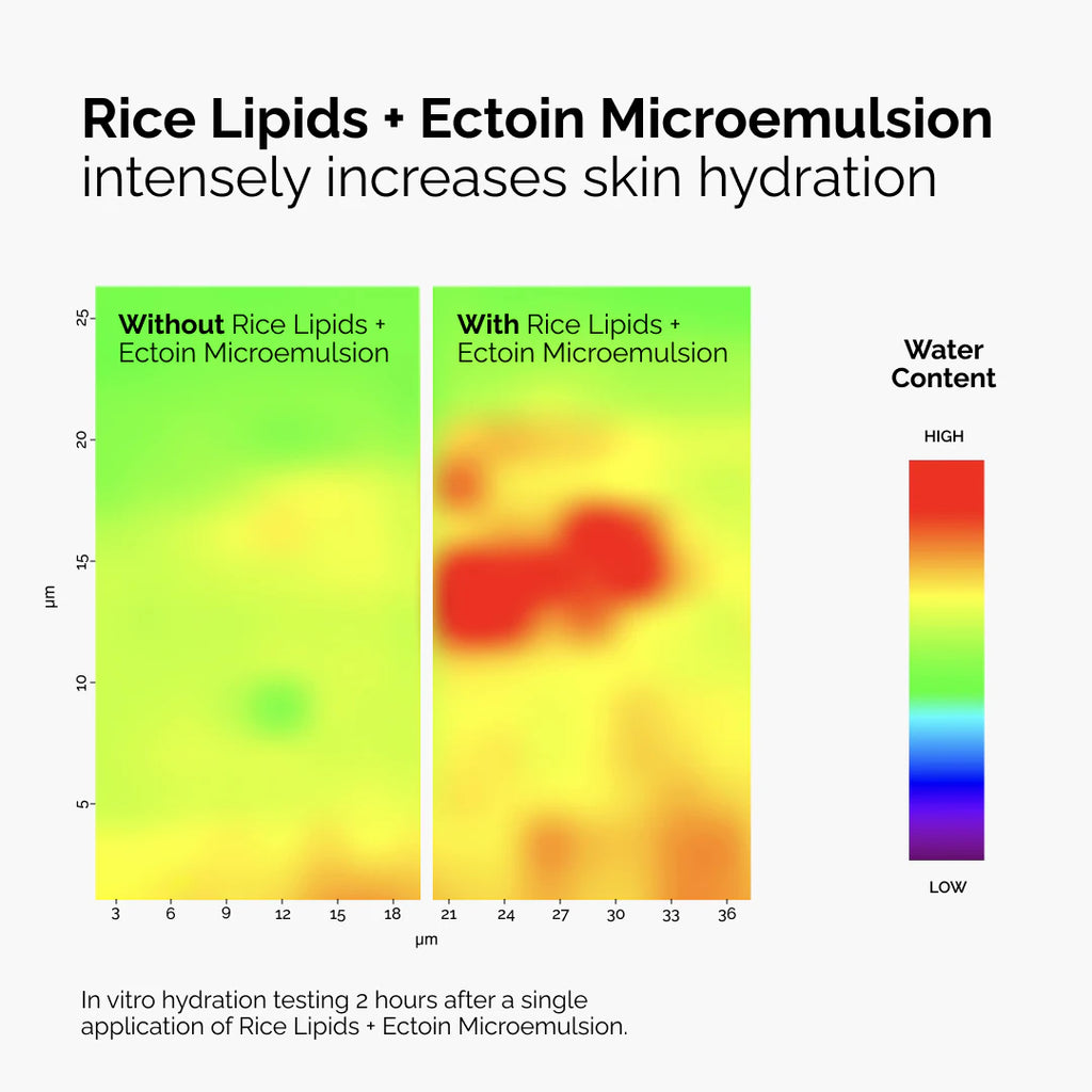 The Ordinary - Rice Lipids + Ectoin Microemulsion Moisturizer for Soothing Hydration & Reduced Redness