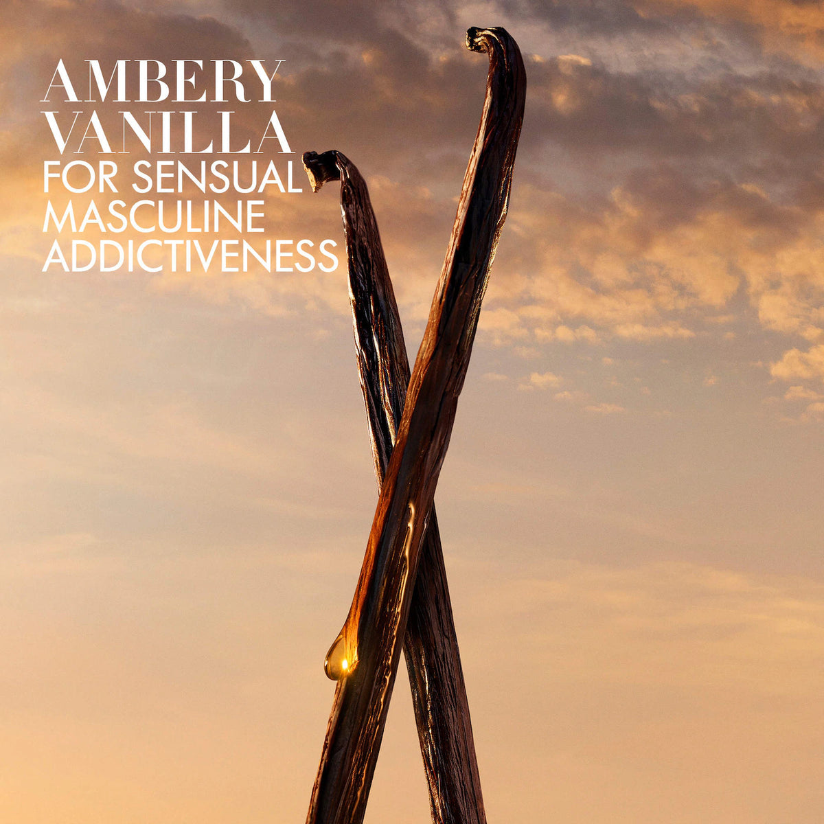 Album cover art for 'Ambery Vanilla' featuring two vanilla beans crossed against a warm sunset sky, with white text on the left reading 'AMBERY VANILLA FOR SENSUAL MASCULINE ADDICTIVENESS'.